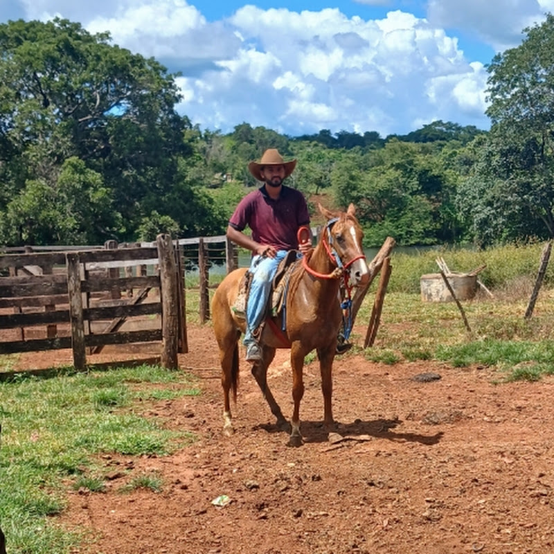 VIDA NO REBANHO 