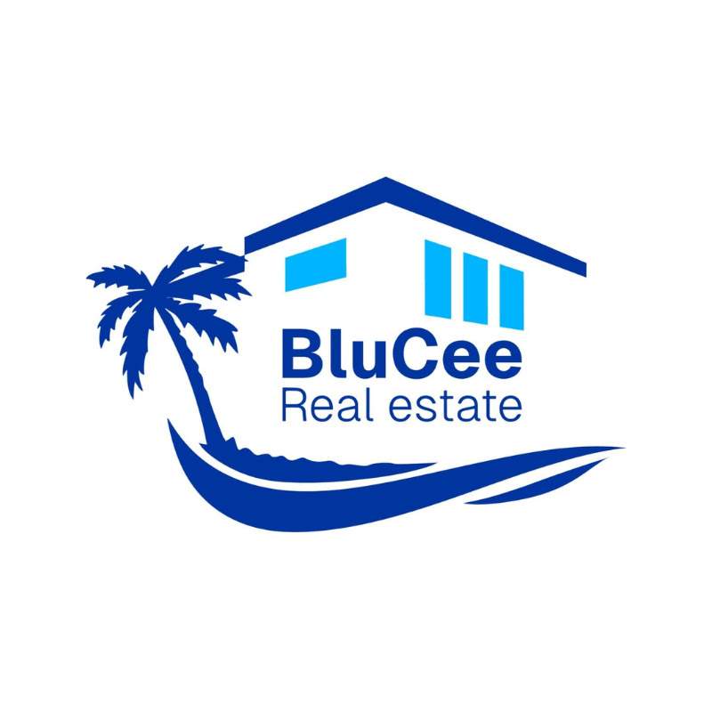 BluCee Real Estate
