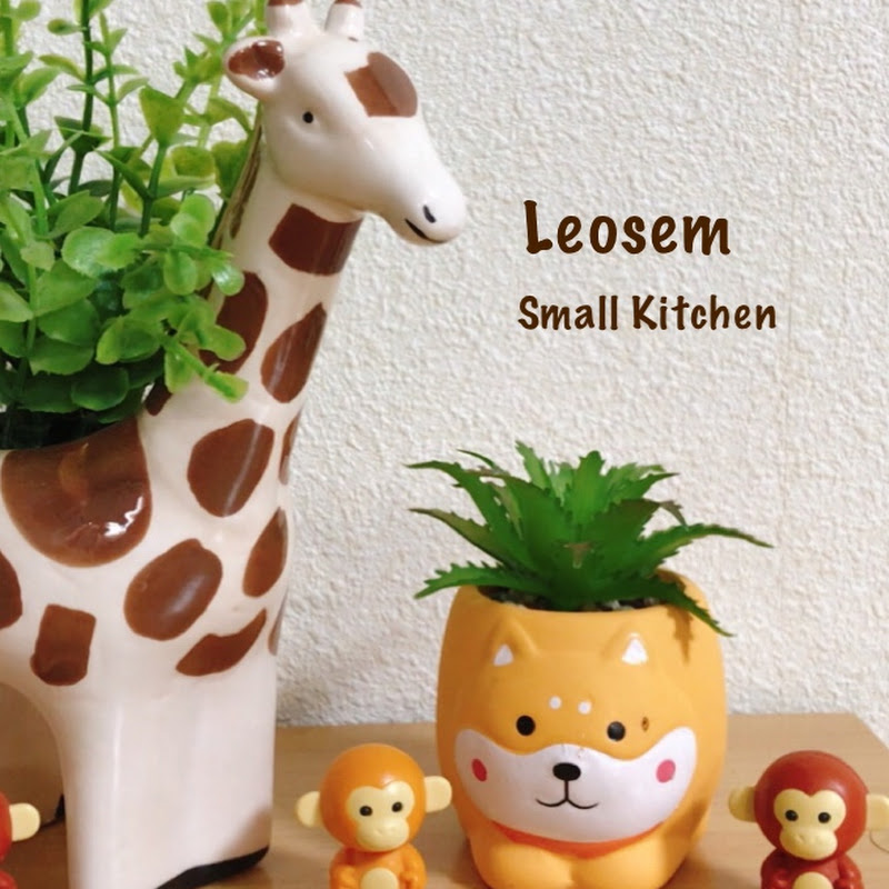 Leosem Small Kitchen