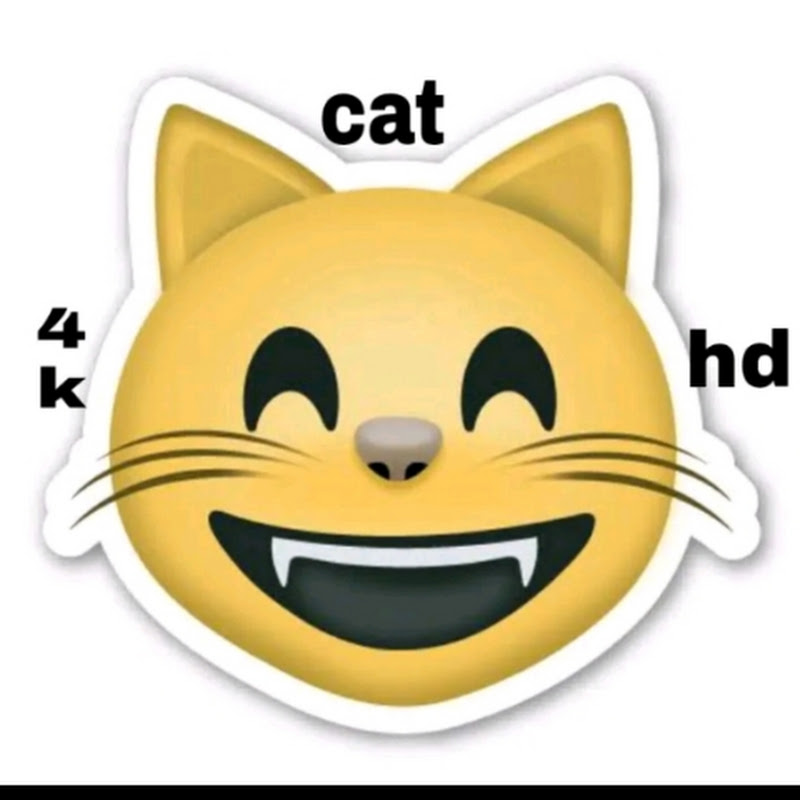 CAT_4K_HD 