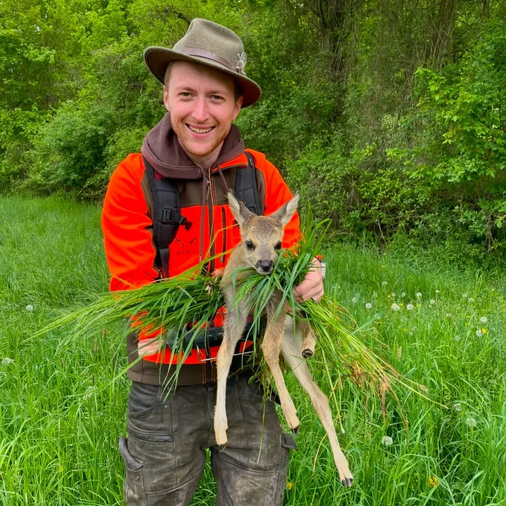 Bock auf Wild