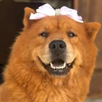 ⠀⠀⠀⠀⠀⠀⠀⠀⠀ 🅷🅰🆈🅺🅰.🅸🅽🅵🅻🆄🅴🅽🅲🅴🆁