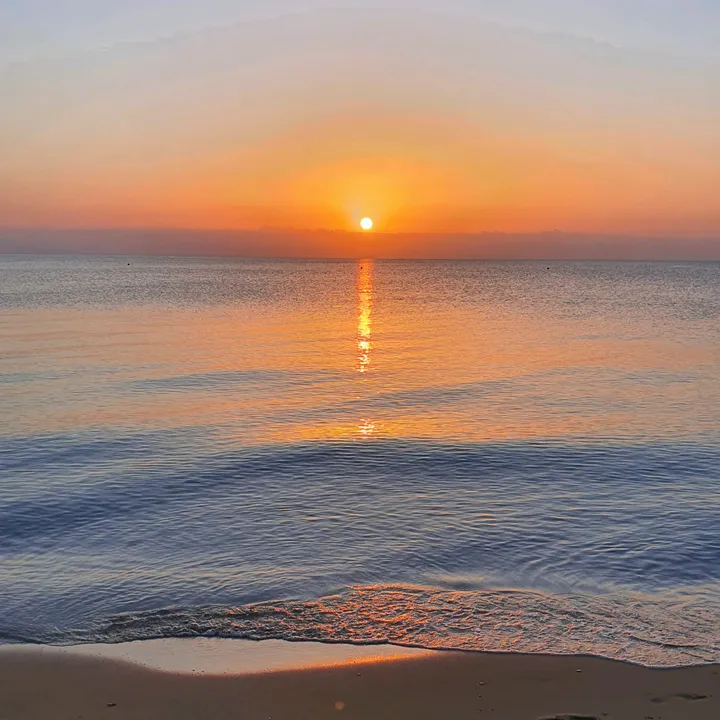 My Cyprus 🇨🇾 🌿🧡