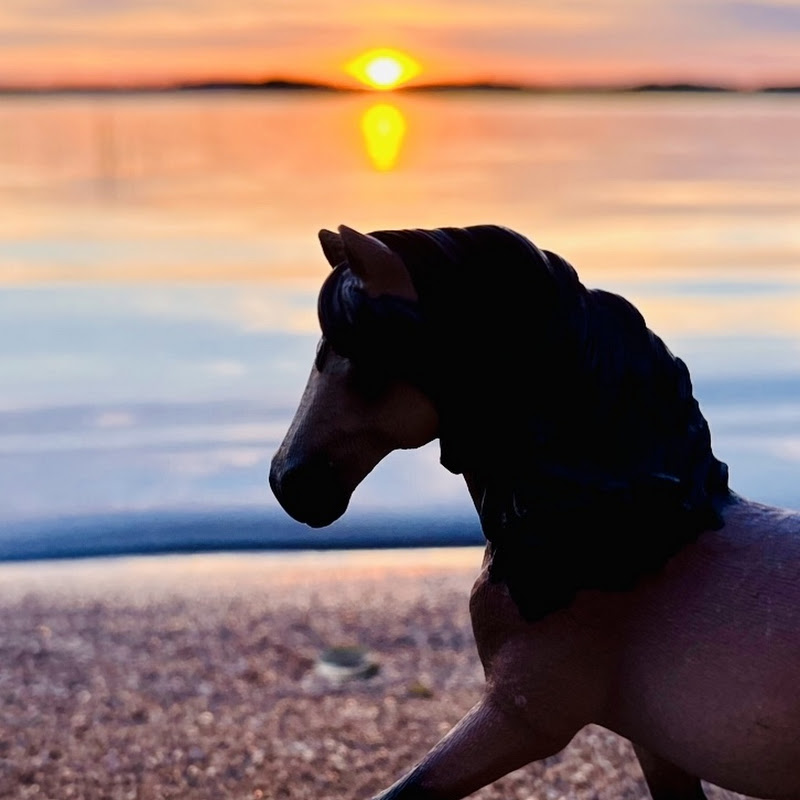 Schleichtalli Liinaharja