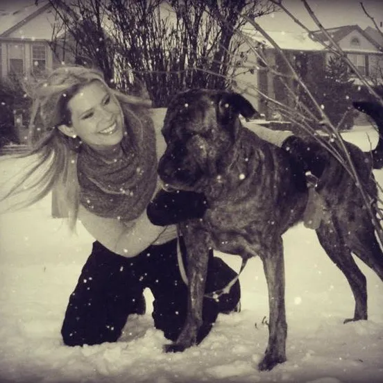 Rescue Dog Army