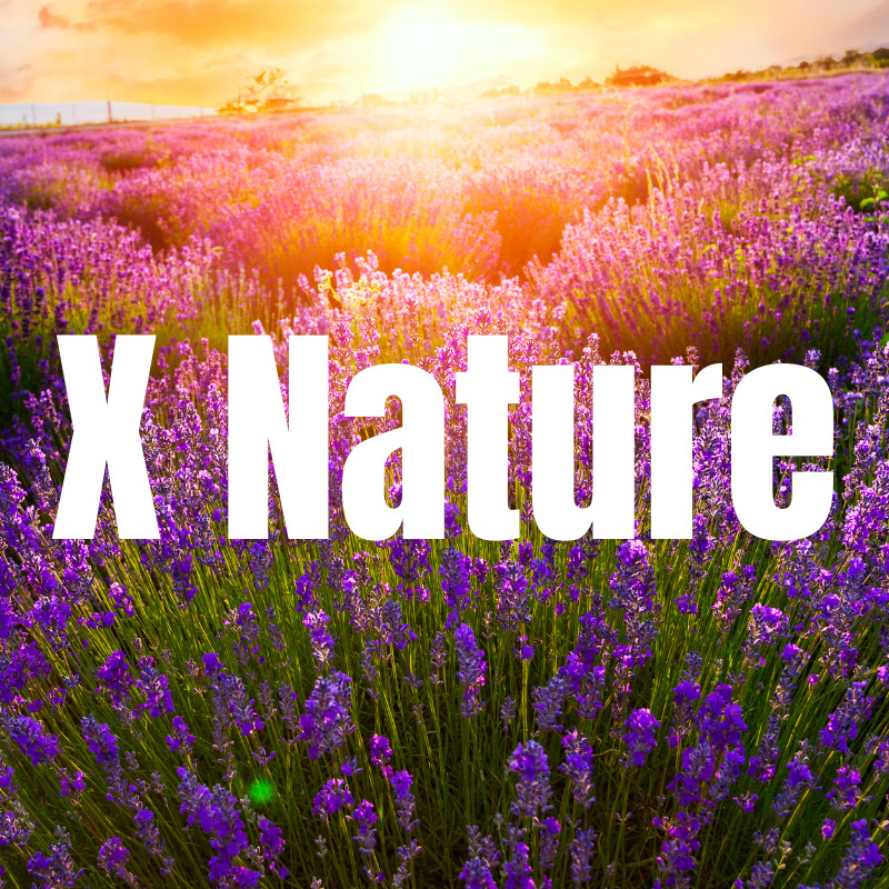 X Nature