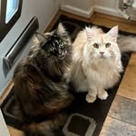 Mittens & Pebbles