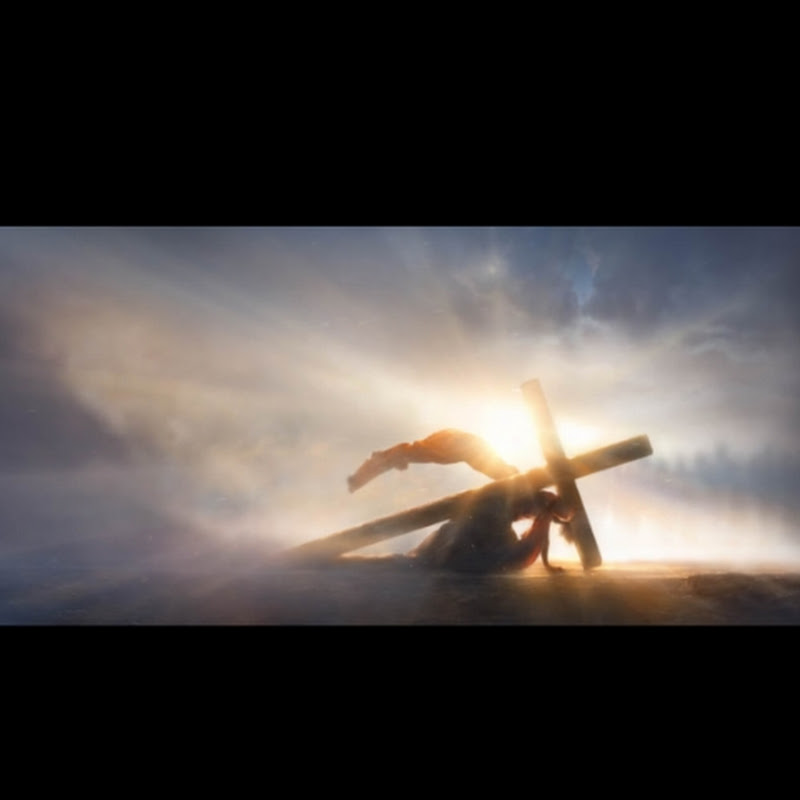 JSP Grace Studio