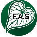 Rare Anthurium Hybridizer | FAS✨️🌿