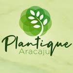 Plantique Aracaju/ Plantas em Aracaju