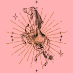 S T E P H 🐎🧵⚡️ professional thrift reseller + inspired upcycler