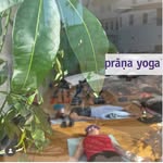 Prana Yoga