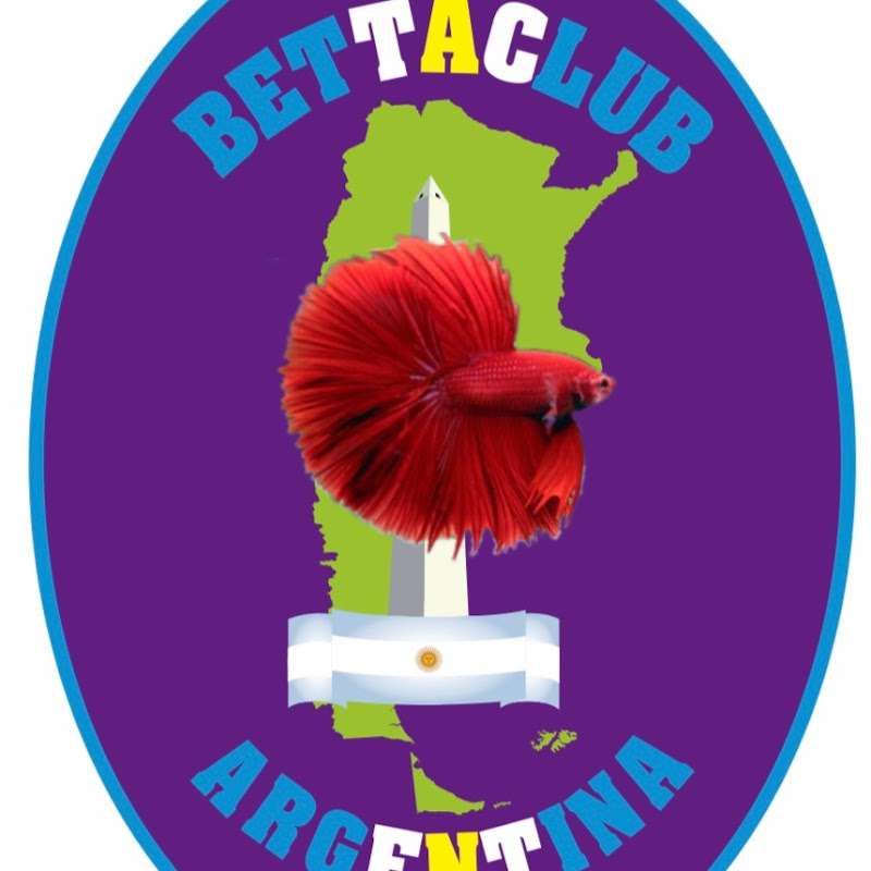 BettaclubArgentina