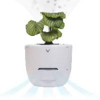 Smart Planter & Purifier