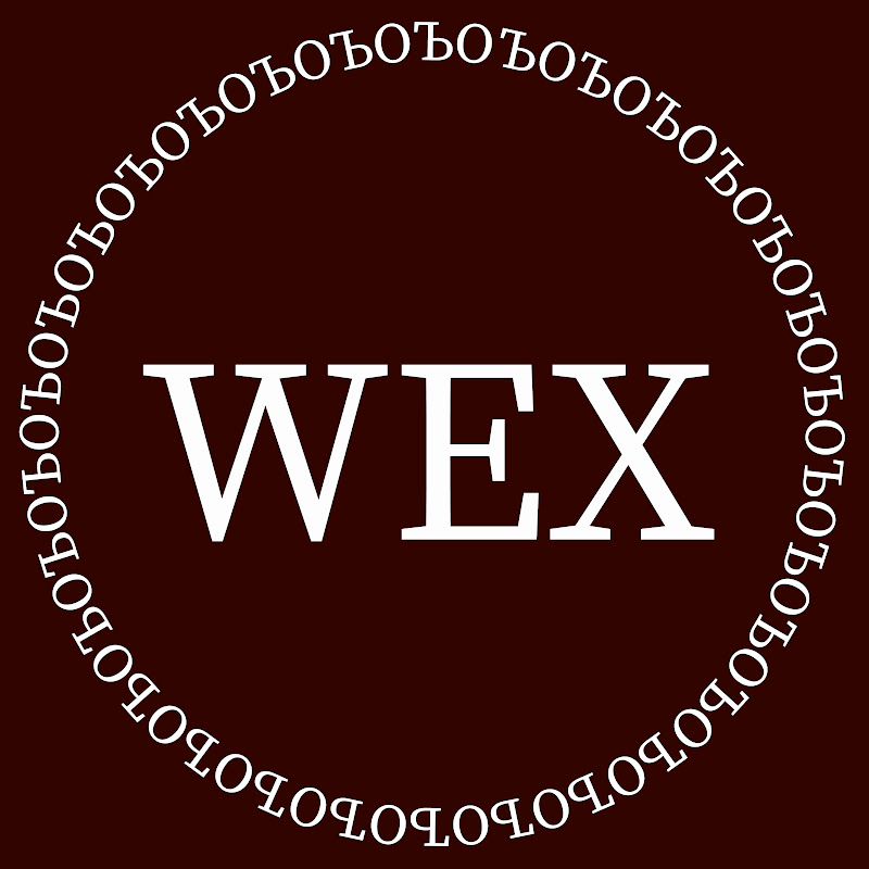 WEX Cover Dance Team 