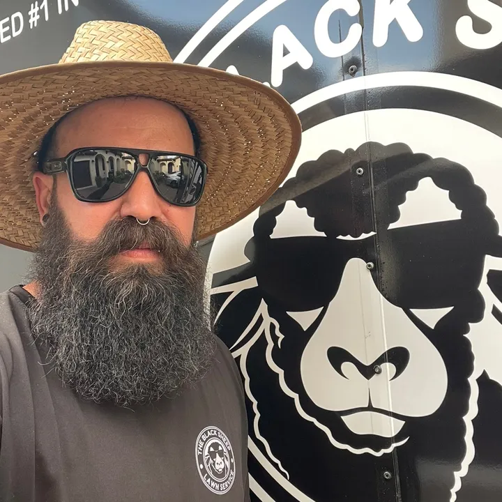 The Black Sheep Lawn