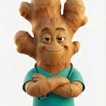 Dr. Ginger | Health Protocols