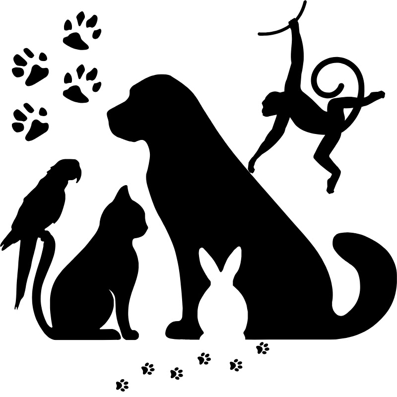 Pet Project