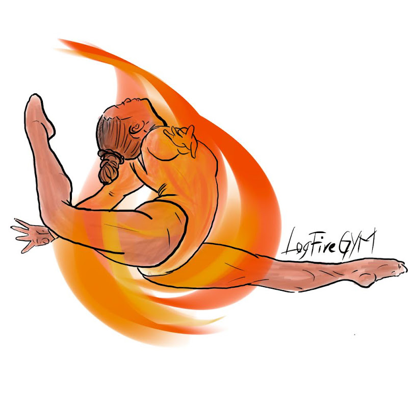 LogFireGYM
