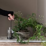 plantstraws