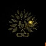 DMV Black Yoga and Wellness Week