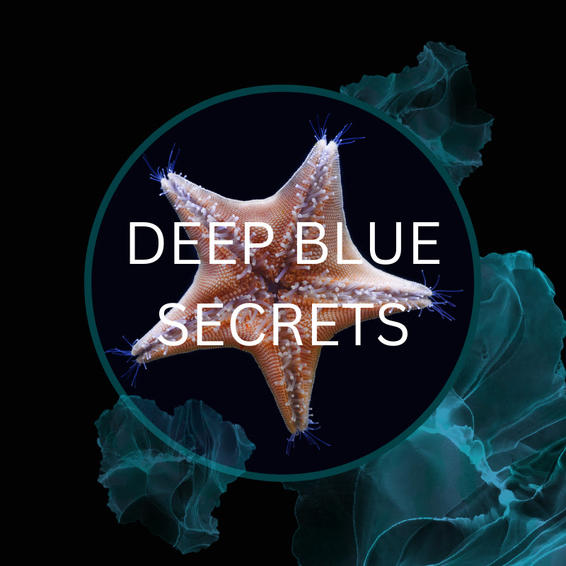Deep Blue Secrets