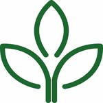 PLANTSTONIA 🌱| HOUSEPLANTS |