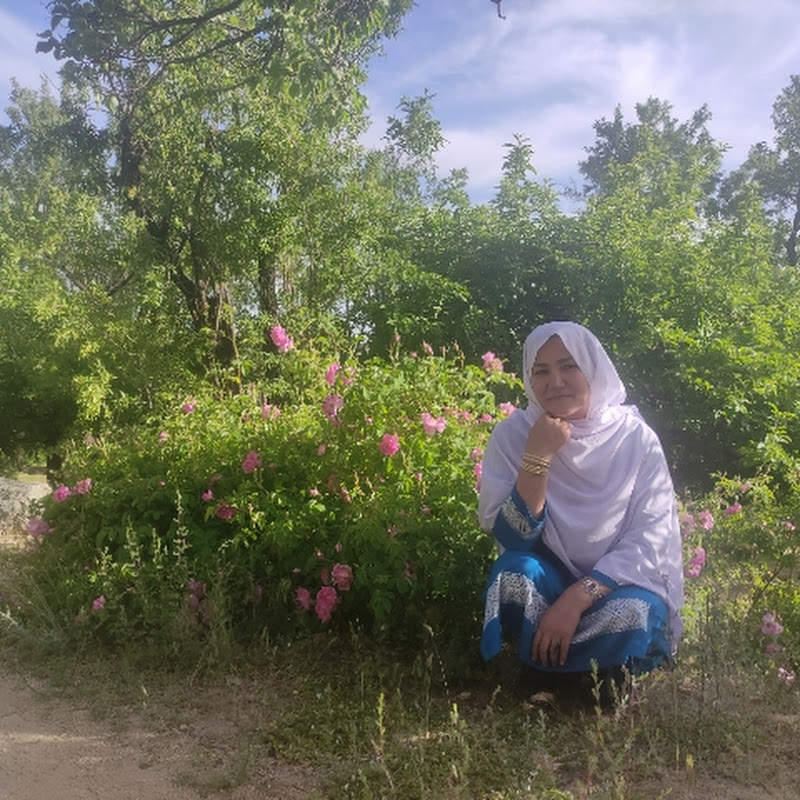 Safia Hamidi صفیه حمیدی 