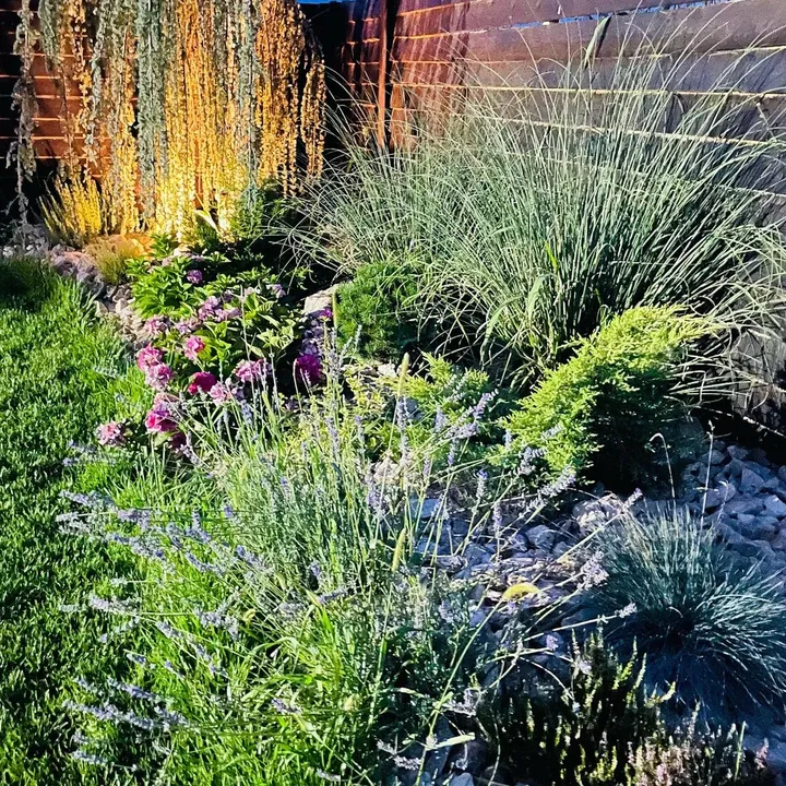 LiveGardensBalotesti