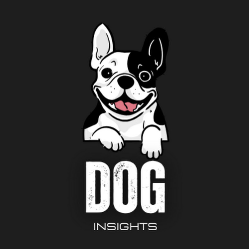 Dog Insights