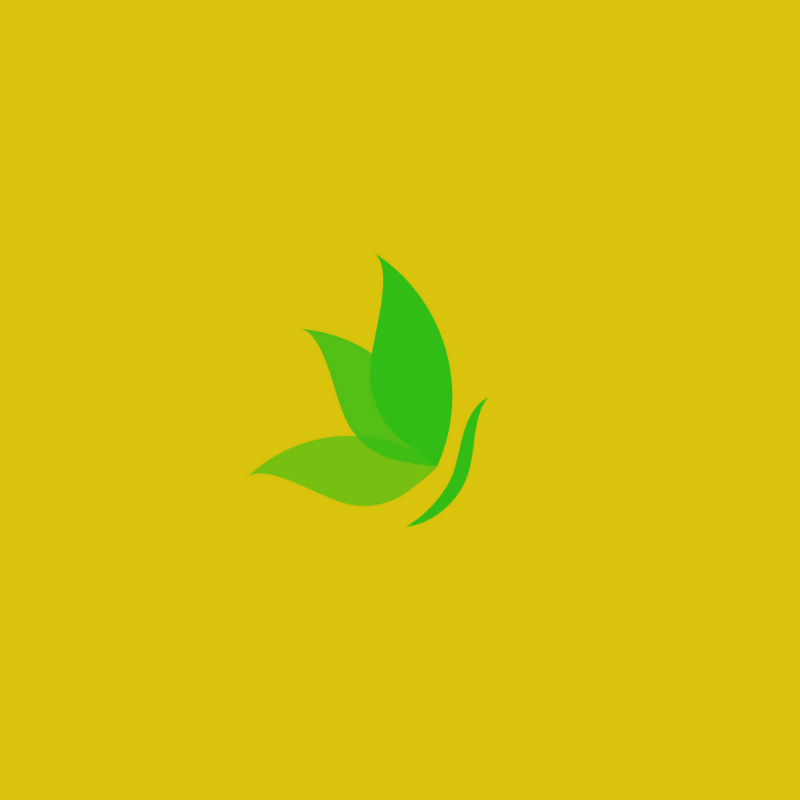 FB's Hydroponics Haven: Lettuce Edition