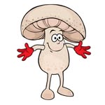The Mushroom Farm