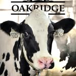 Oakridge Dairy LLC