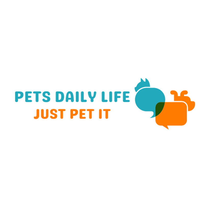 pets Daily Life