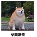 財源滾滾