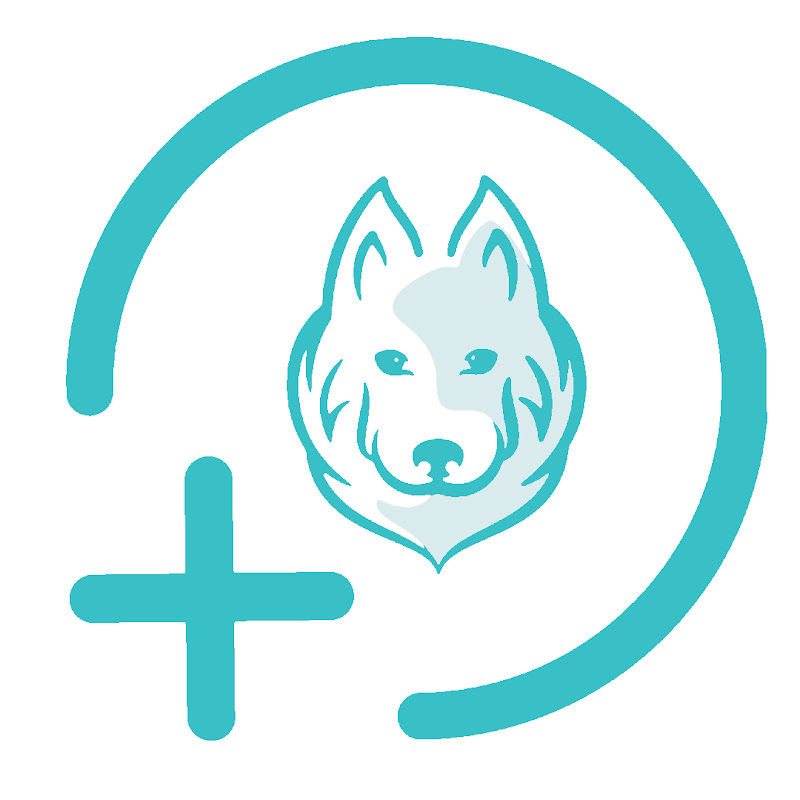 ABT-Plus Online Dog Training