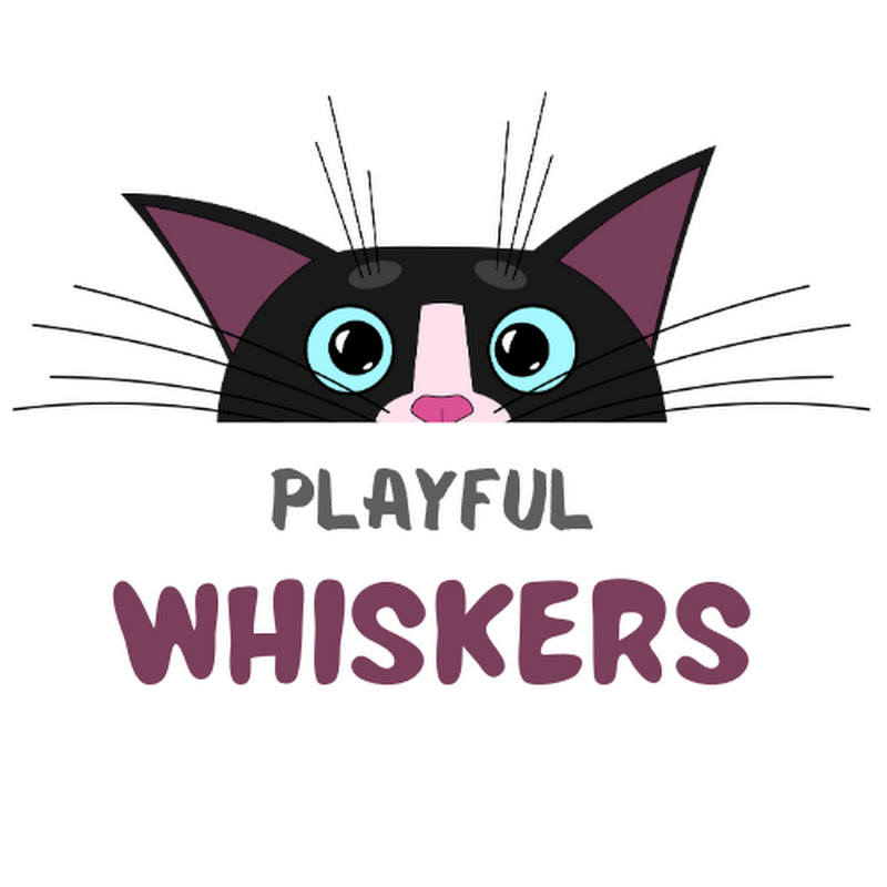 Playful Whiskers