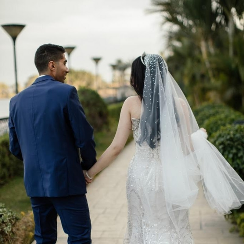 عائلة موتشي 