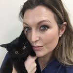 Cat The Vet