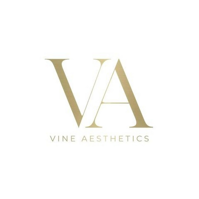 Vine Aesthetics Vlogs