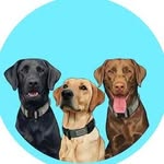 Chaos in Collars | Funny Labrador Brothers