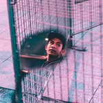 Naif 