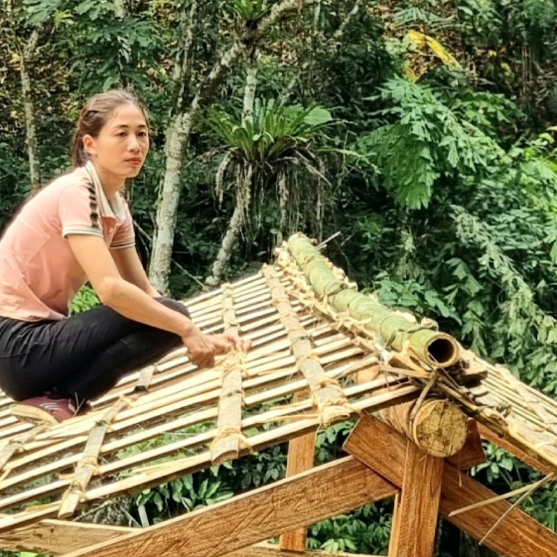 Triệu Thị Hây