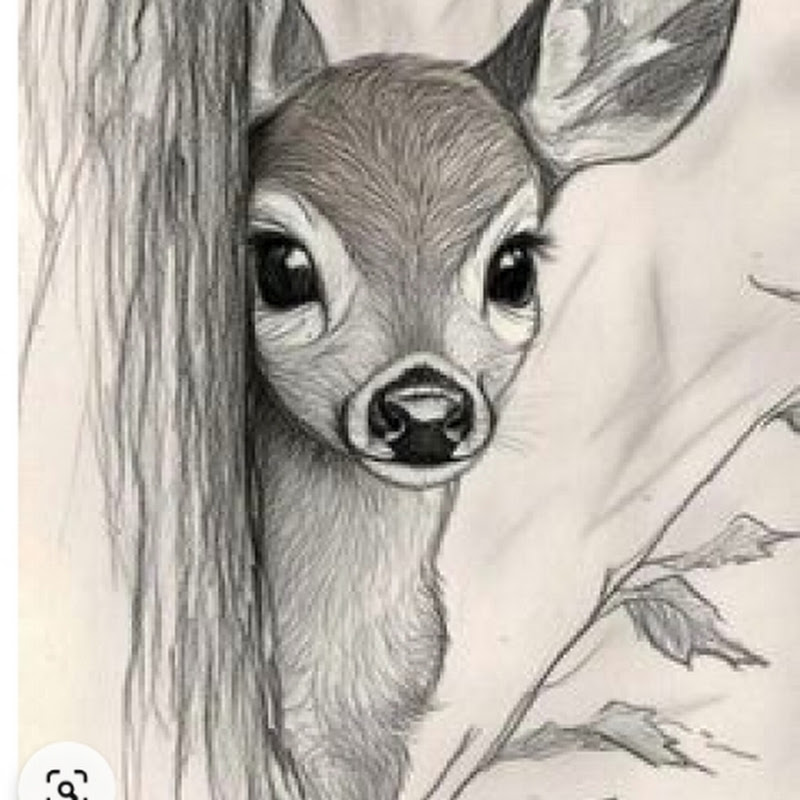 draw acedmy