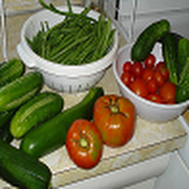 Gardening for better living