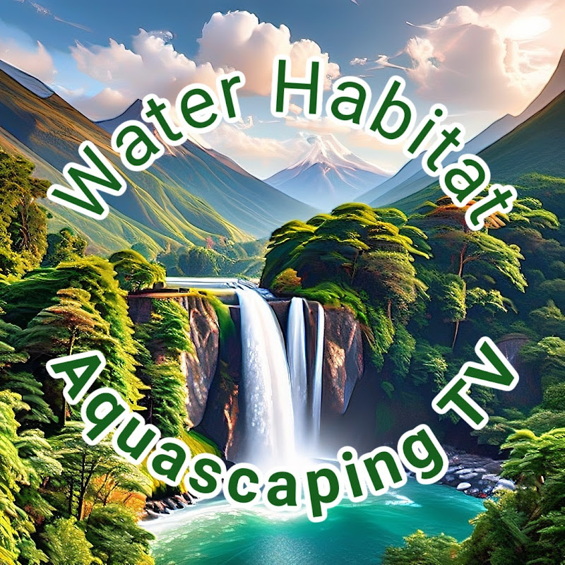Water Habitat | Aquascaping TV