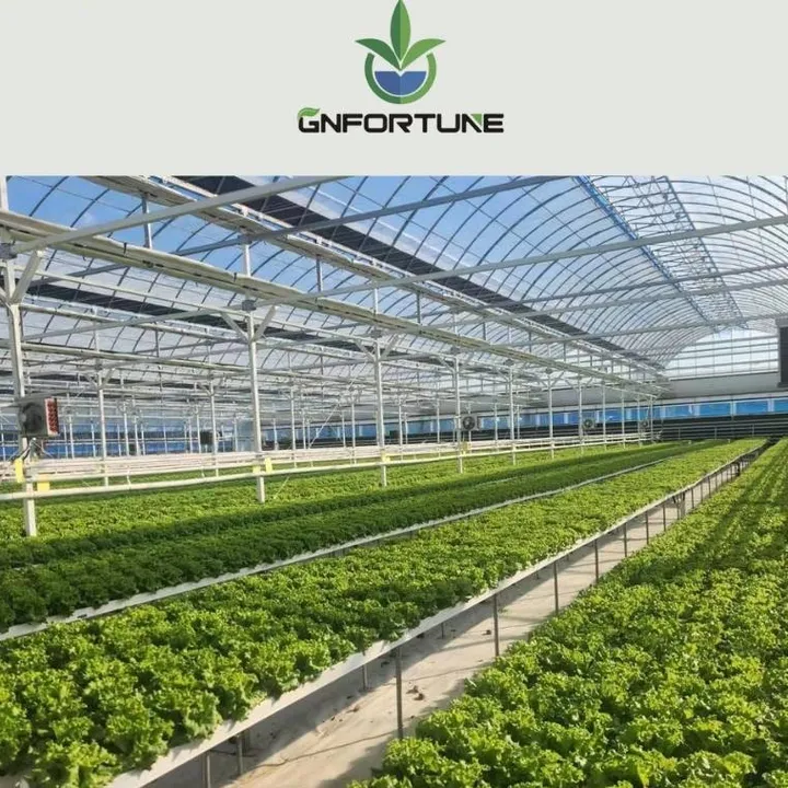 hydroponics