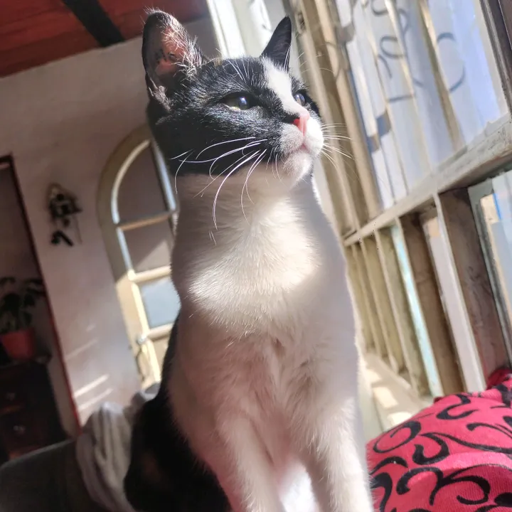 💓LIZA❤️‍🔥😻