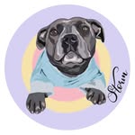 Storm & Bolt | Staffy Life
