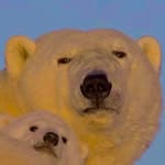 이후신 LEE HU SIN